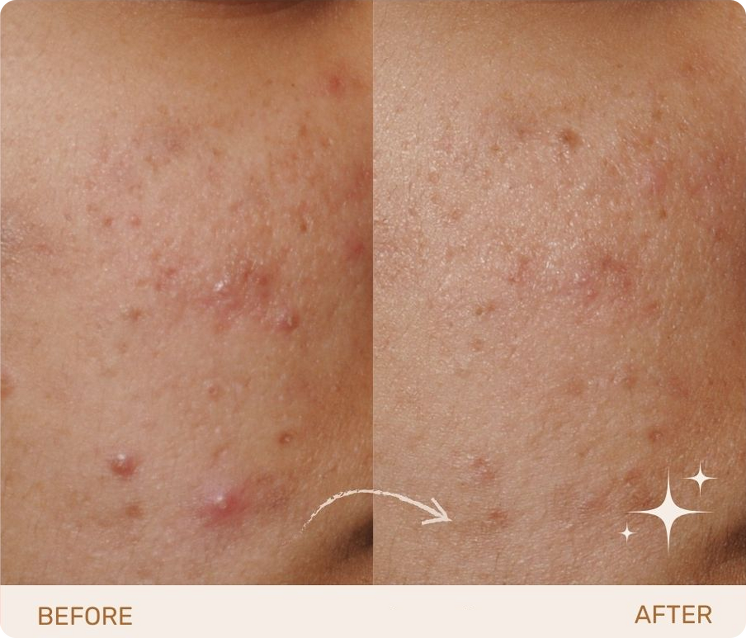 Product Results Image